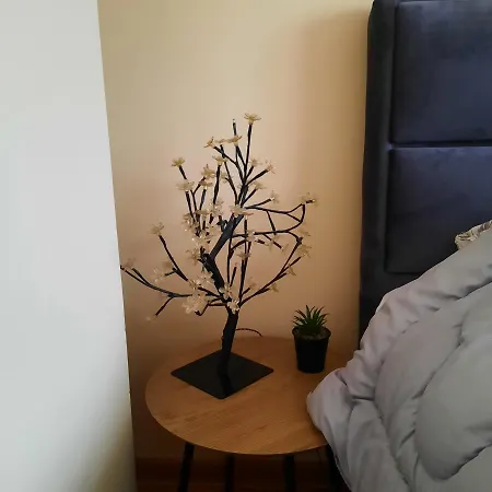 アパート Jovana *